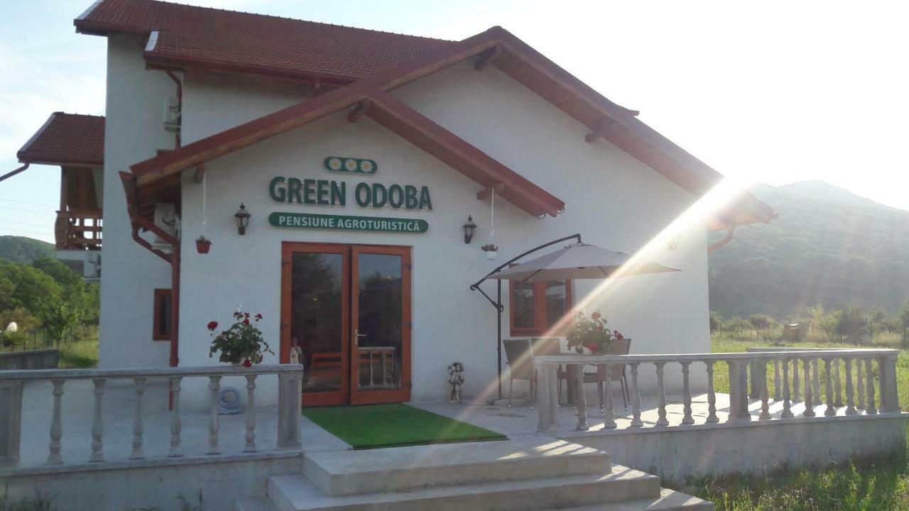 Pensiunea Agroturistica Green Odoba Sătuc Zewnętrze zdjęcie